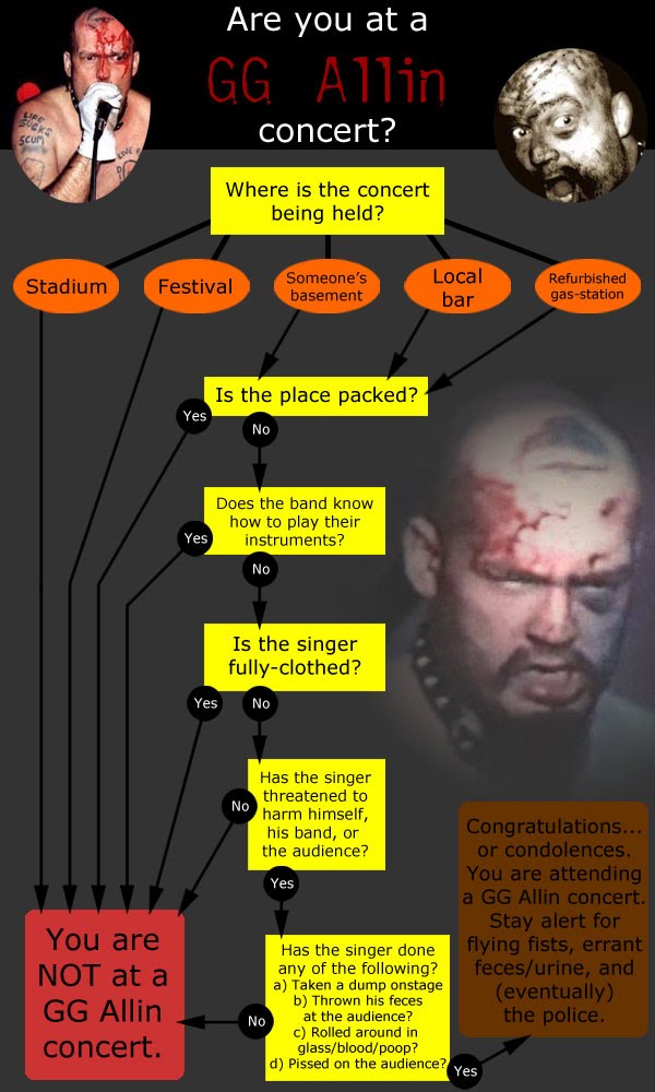 Are you at a GG Allin concert?